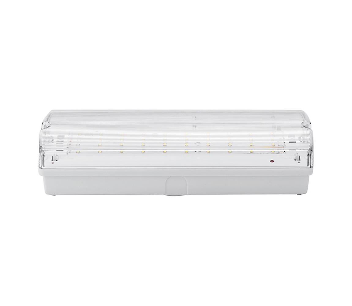 LED Nouzové svítidlo LED/3W/240V 6000K IP65