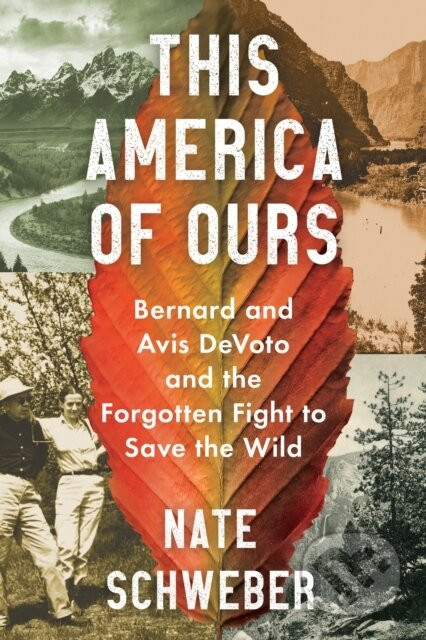 This America Of Ours - Nate Schweber