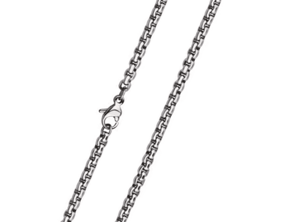 Bangles.cz Pánský řetízek chirurgická ocel zakulacený 55 cm x 0,3 cm 2664