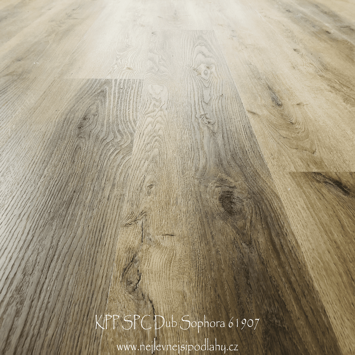 KPP SPC X-CELLENT WOOD - Dub Sophora 80109