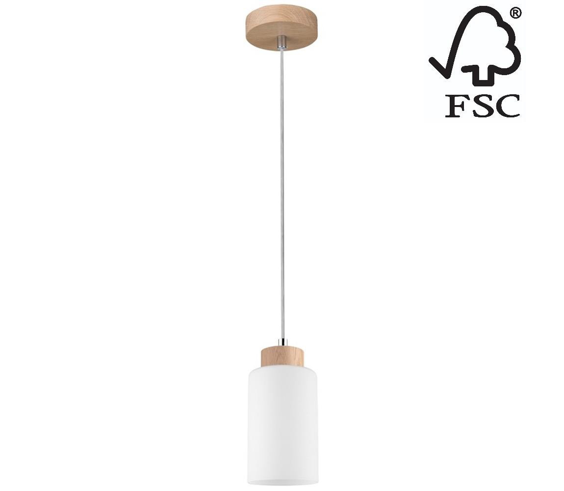 1720174 - Lustr na lanku BOSCO 1xE27/60W/230V