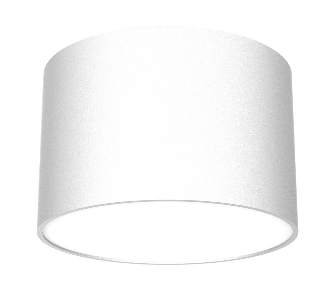 Bodové svítidlo DIXIE 1xGX53/11W/230V bílá