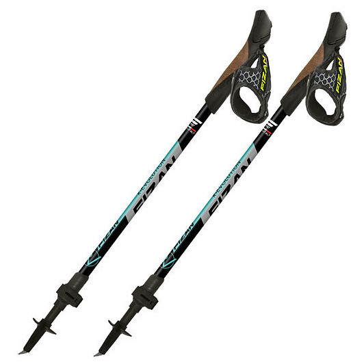 Nordic walking hole Fizan R-Evolution Barva: šedá/modrá