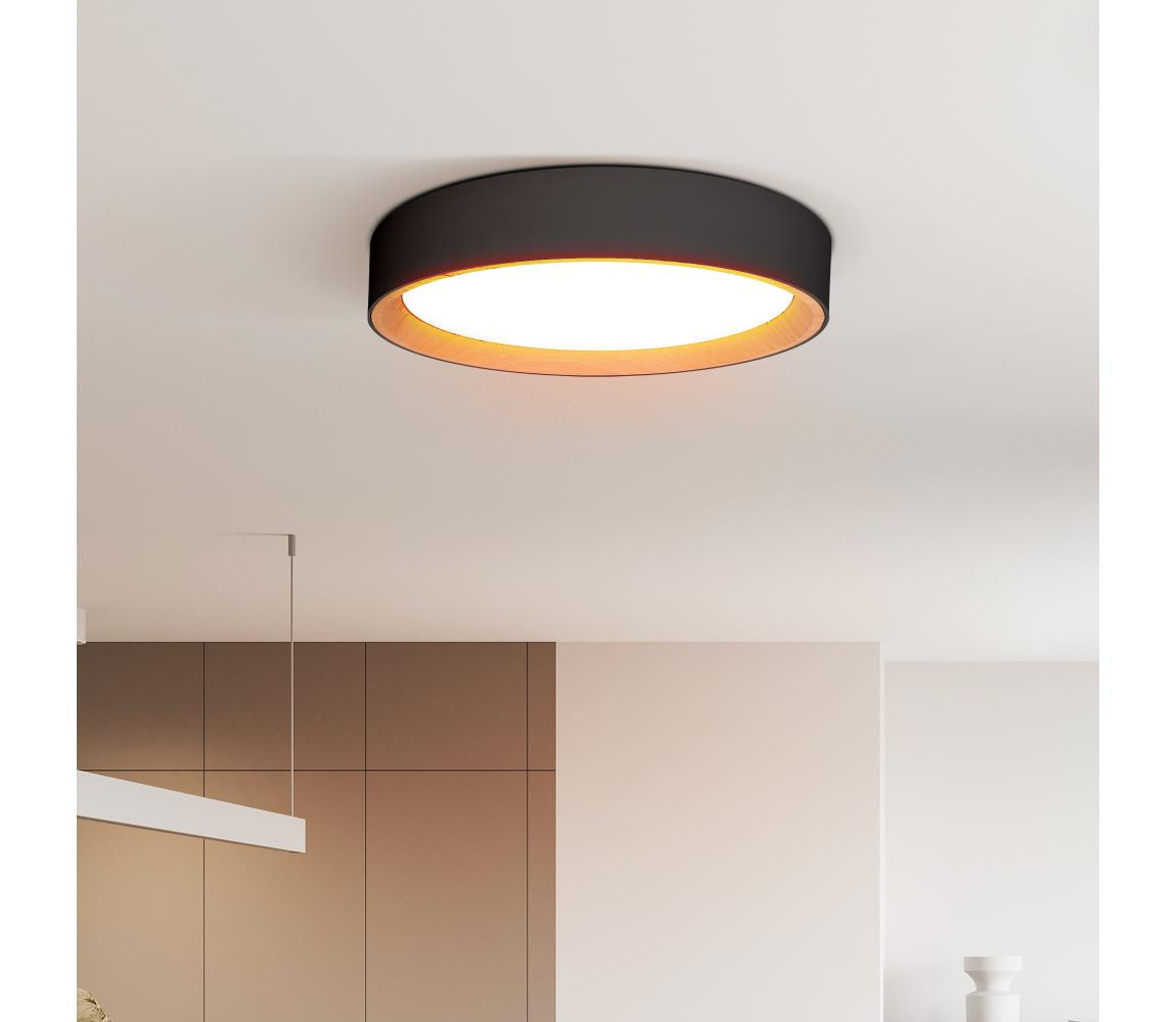 WO8016 - LED Stm. strop. svítidlo LARIOS LED/48W/230V+DO pr.39 cm černá