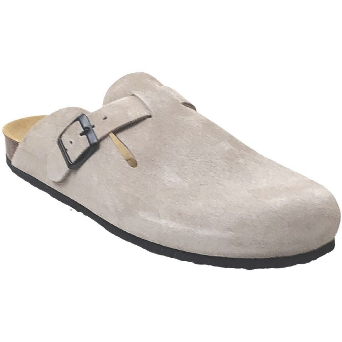 Plakton  Blog  Béžová