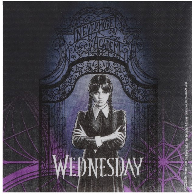 Wednesday party - Ubrousky papírové 33 x 33 cm 20 ks