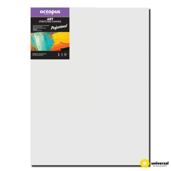Octopus Malířské plátno OCTOPUS Professional - 60 x 80 cm - 350 g/m2