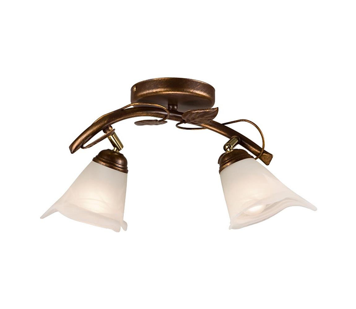 Bodové svítidlo IVY 2xE14/40W/230V