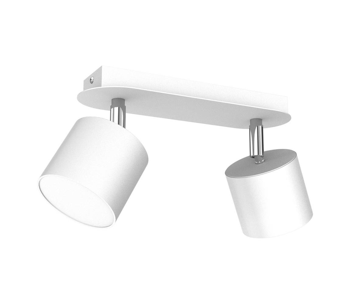 Bodové svítidlo DIXIE 2xGX53/11W/230V bílá