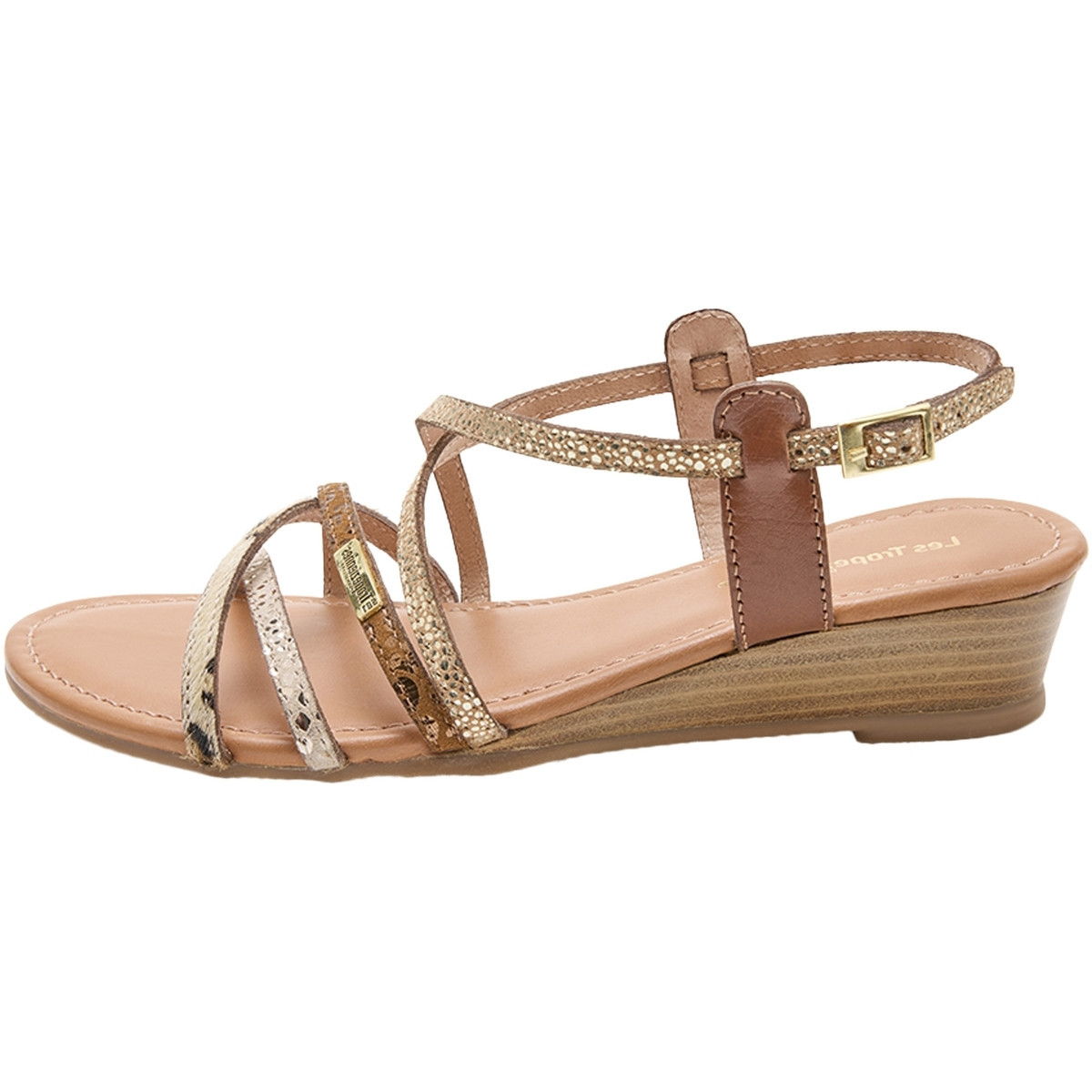 Les Tropéziennes par M Belarbi  248924  ruznobarevne