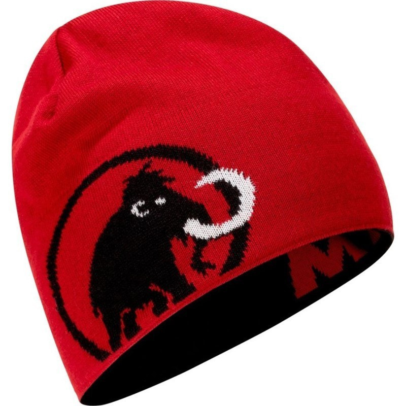 Mammut Čepice Mammut Logo Beanie Černá