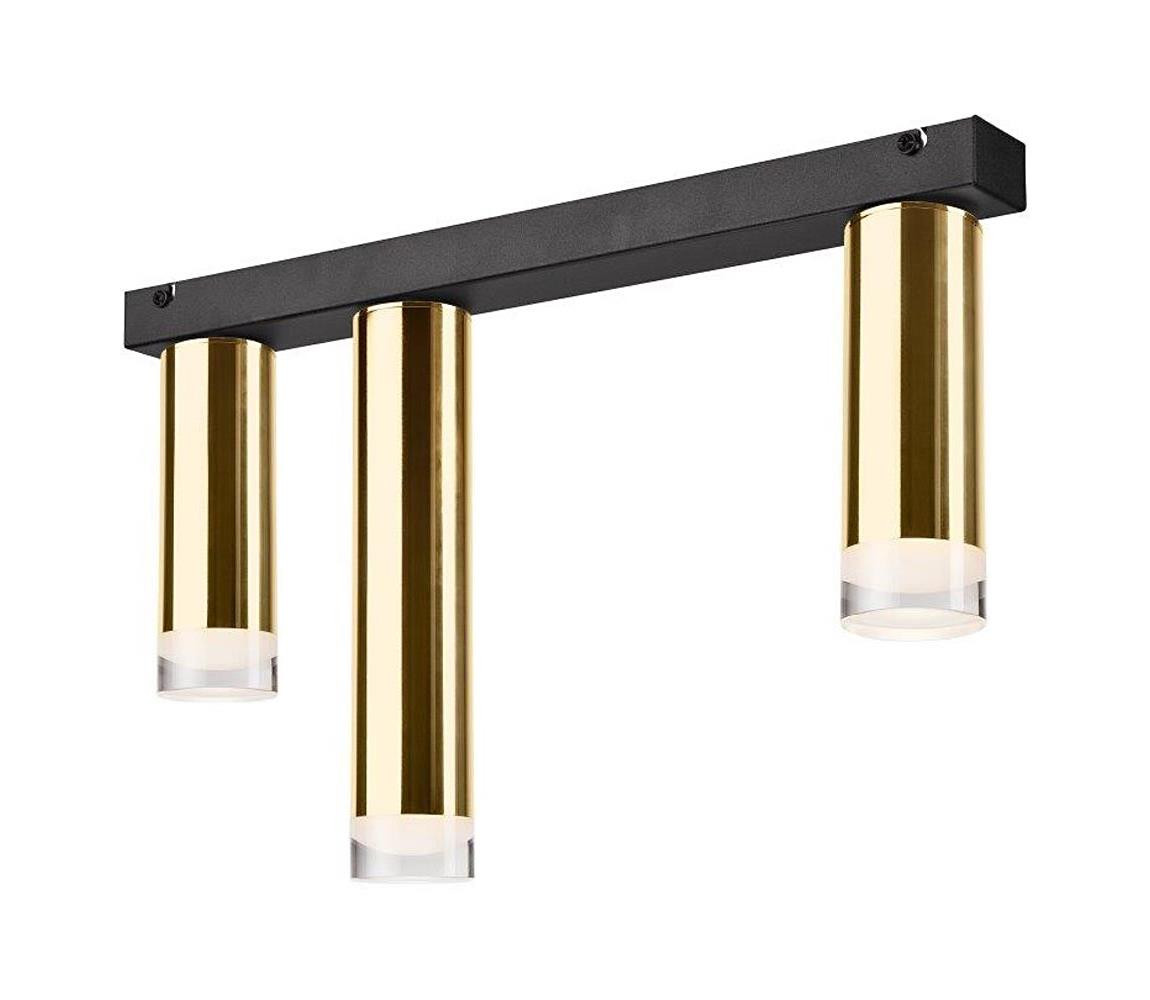 Přisazený lustr DIEGO 3xE27/60W/230V