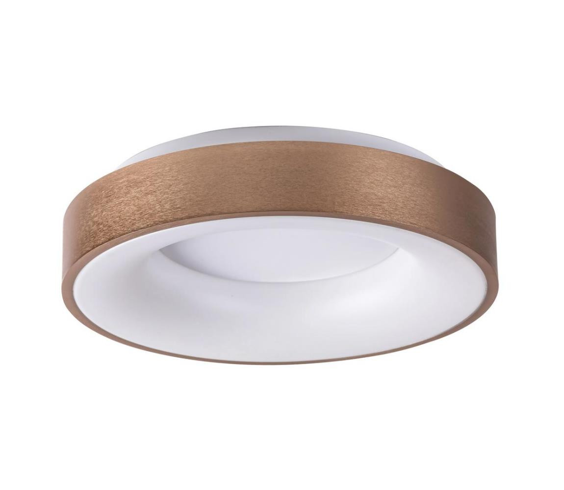 Rabalux Rabalux 5053 - LED Stropní svítidlo CARMELA LED/50W/230V