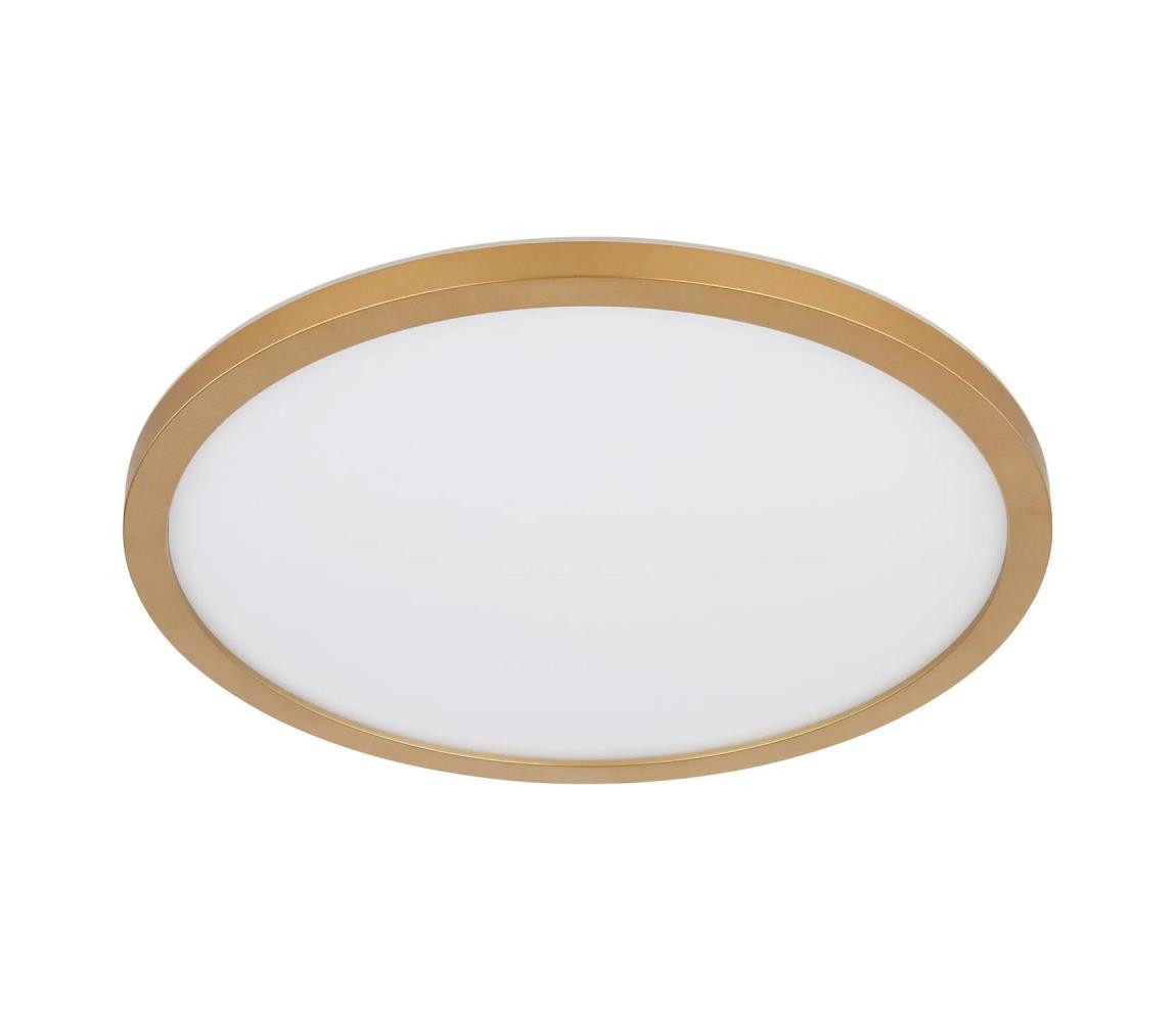 Globo Globo 41562-24MM -LED Stm. koupel. strop. svítidlo SAPANA LED/24W/230V IP44