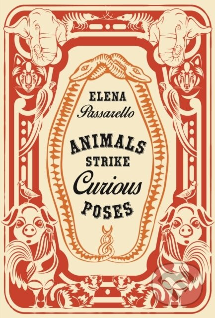 Animals Strike Curious Poses - Elena Passarello
