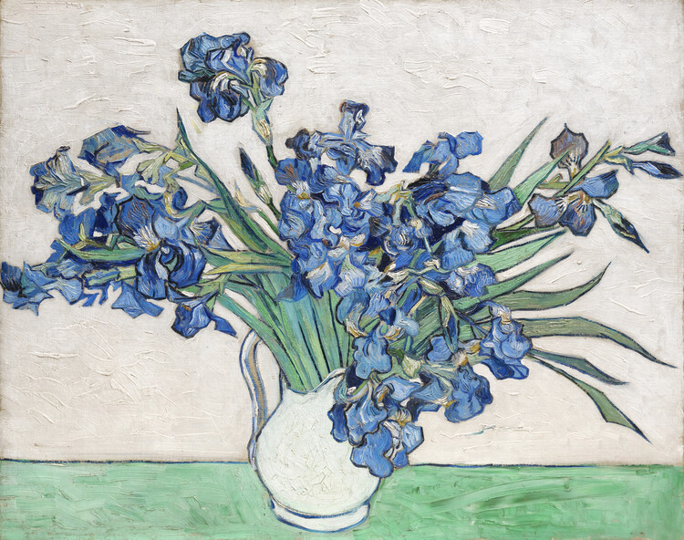Vincent van Gogh Obrazová reprodukce Irises, 1890, Vincent van Gogh, 40 × 30 cm
