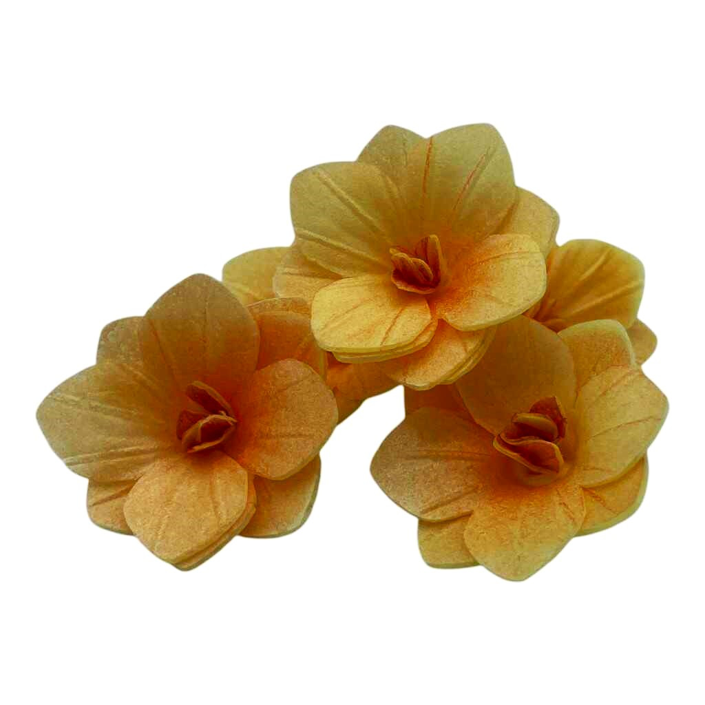 Jedlý papír 3D hortenzie medová 6ks