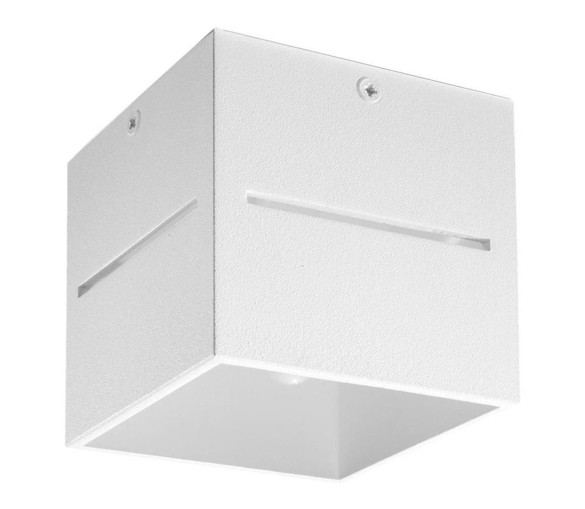 SL.0209 - Stropní svítidlo LOBO 1xG9/40W/230V bílá