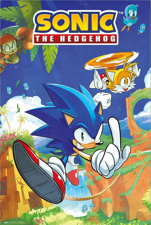 GRUPO ERIK Plakát, Obraz - Sonic the Hedgegog - Sonic & Tails, 61 × 91.5 cm