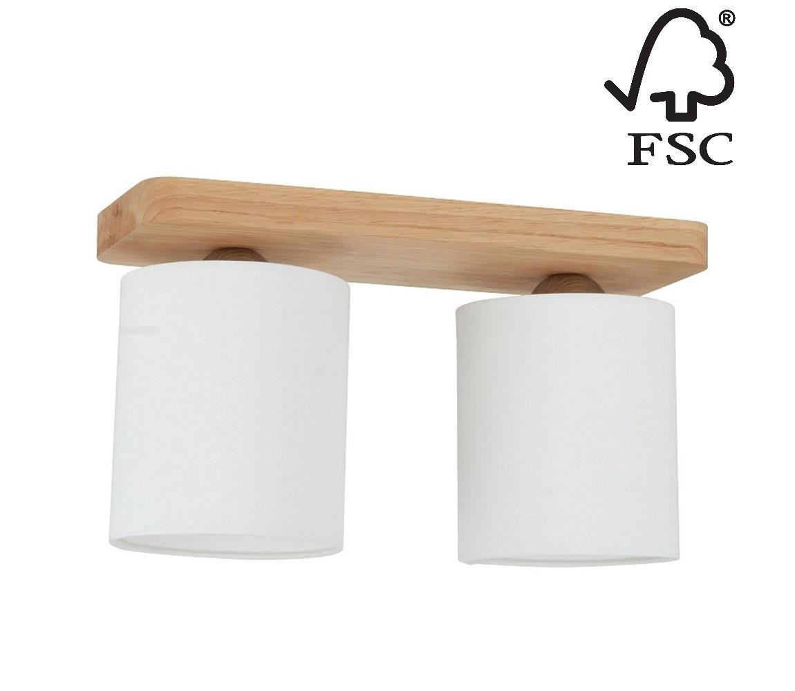 8512274 - Stropní svítidlo JENTA 2xE27/25W/230V