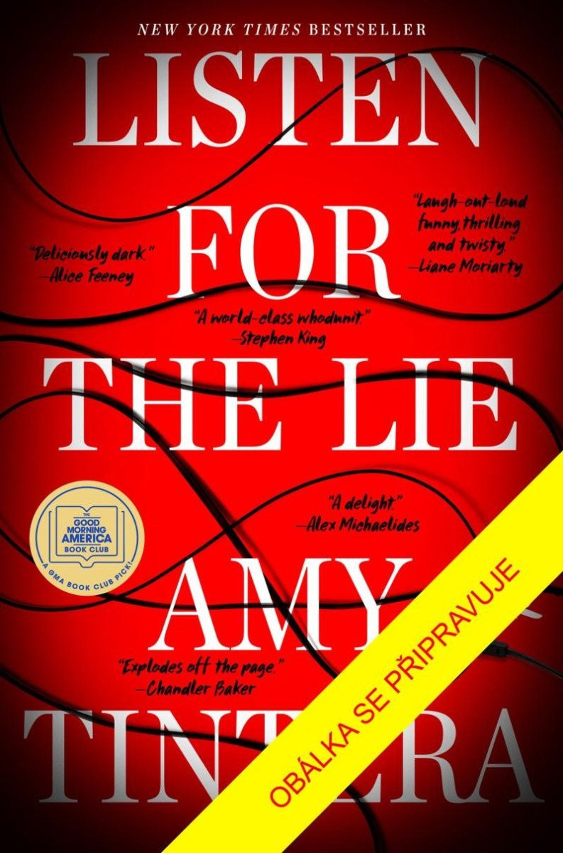 Poslouchej, kdo lže - Amy Tintera