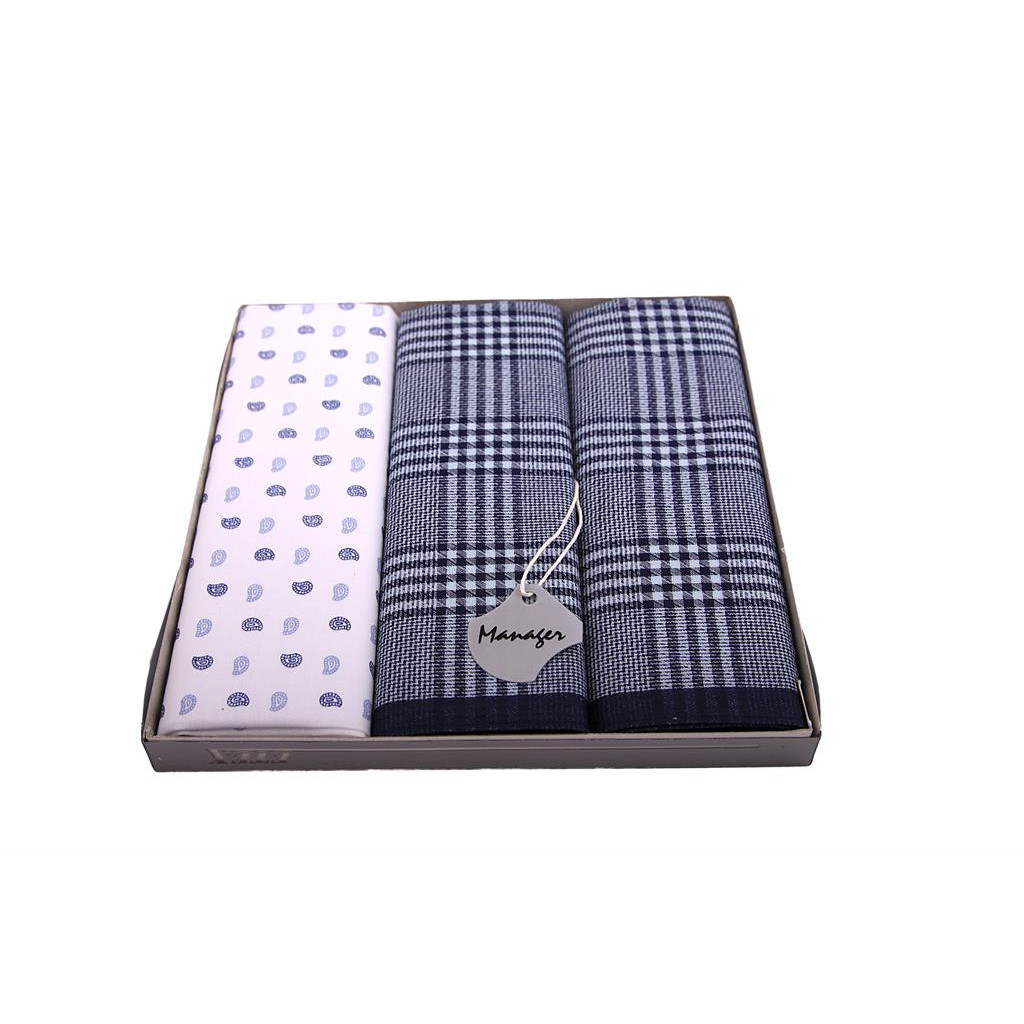 Pánské luxusní kapesníky Etex M39 3 ks - různé barvy