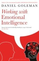Working with Emotional Intelligence - Daniel Goleman