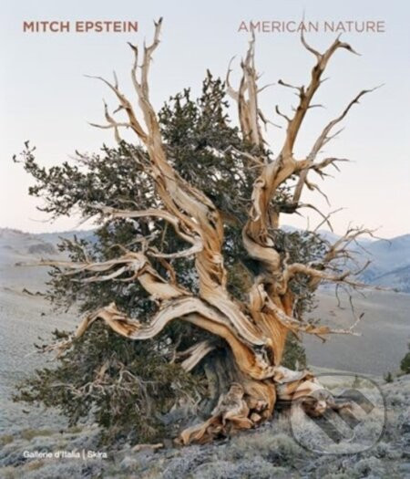 Mitch Epstein - Skira