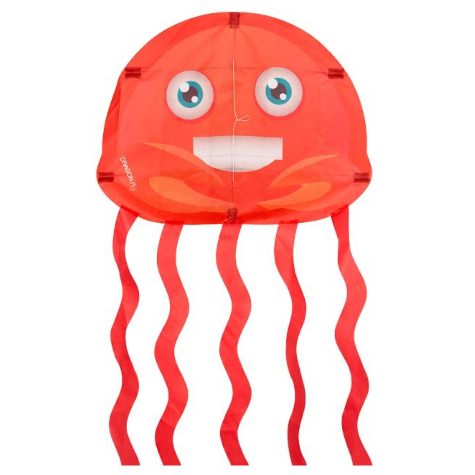 Dragon Fly Sea Animal