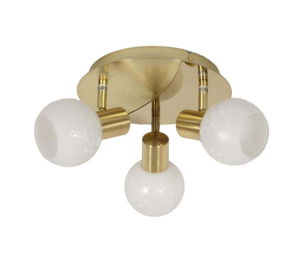 Bodové svítidlo AVILA 3xE14/40W/230V