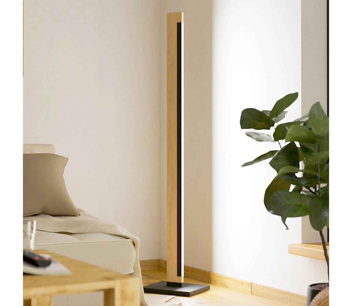 Eglo Eglo 99296 - LED Stmívatelná stojací lampa CAMACHO LED/22W/230V