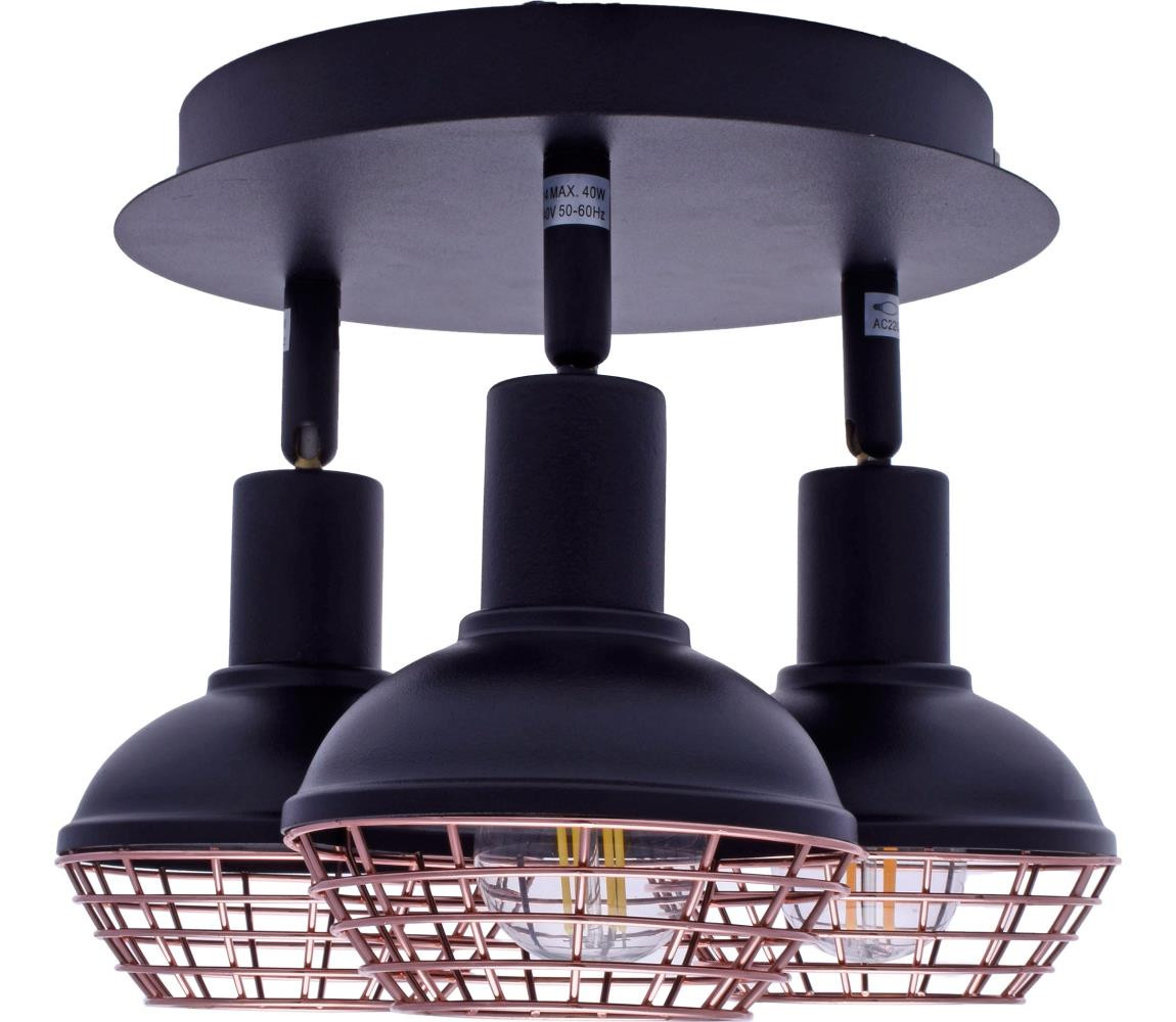 Bodové svítidlo LOGAN 3xE14/40W/230V