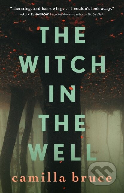 The Witch In The Well - Camilla Bruce