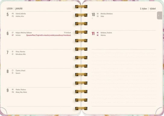Spirálový 18měsíční diář Petito Růžový mramor 2025/2026