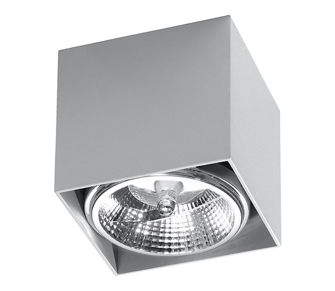 SL.0699 - Bodové svítidlo BLAKE 1xGU10/40W/230V