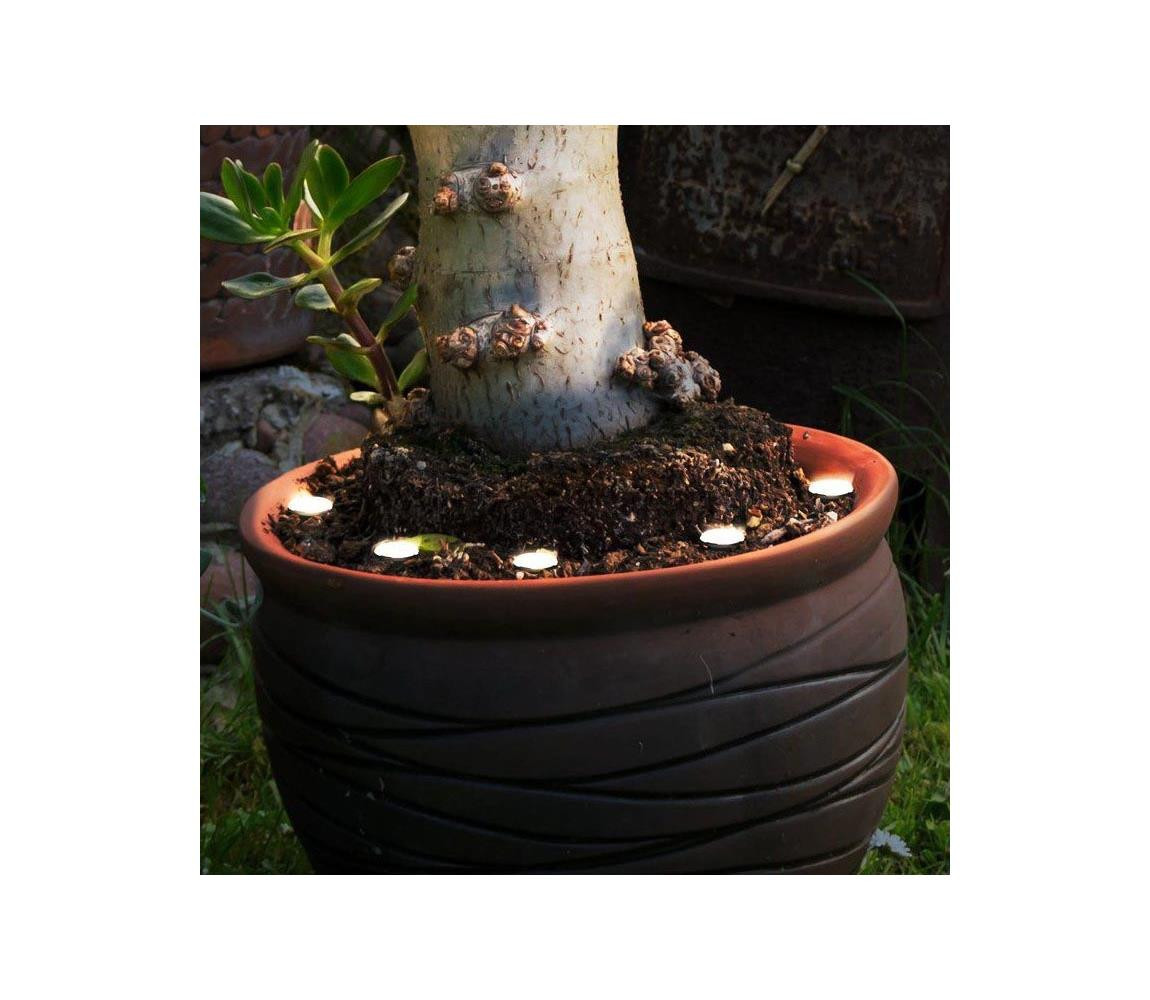 Eglo Eglo 900117 - LED Venkovní dekorační řetěz SPINETOLI 6xLED IP65