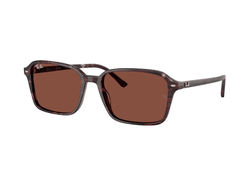 Ray-Ban Raimond RB2231 1416C5