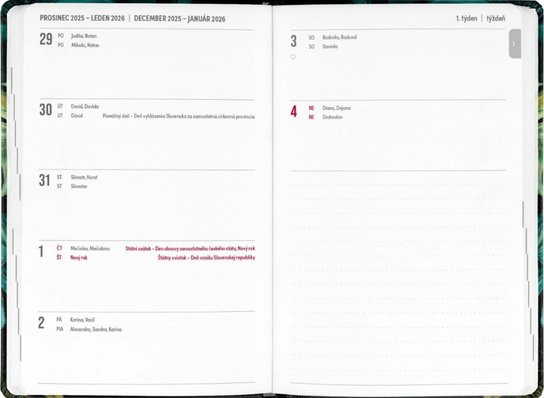 Spirálový 18měsíční diář Petito Monstera 2025/2026