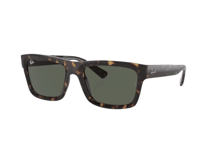 Ray-Ban Warren RB4396 135971