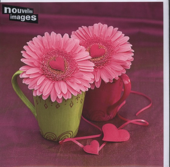 Přání s obálkou 16 x 16 cm