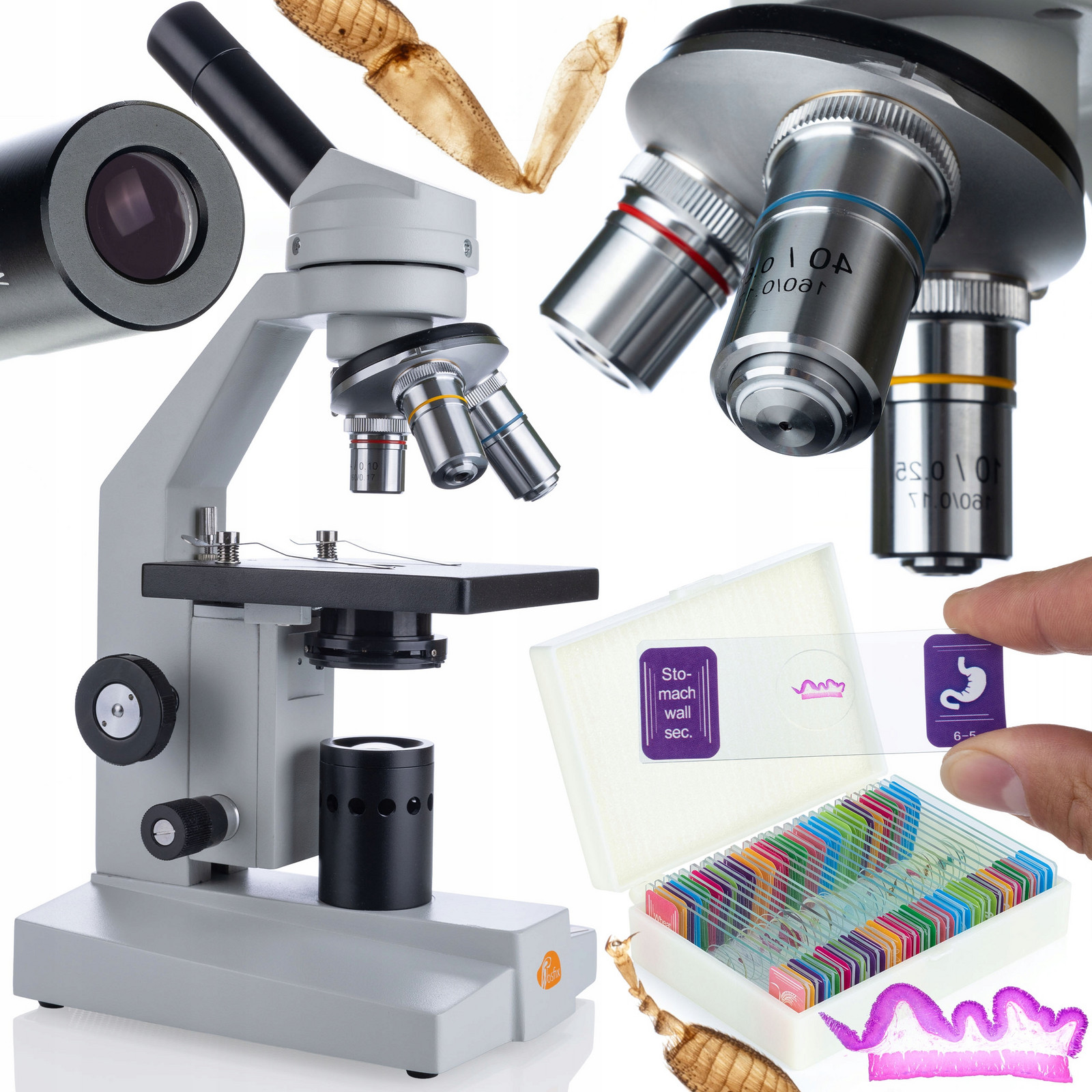 Biologický Vzdělávací Optický Mikroskop – Sada Preparátů Pro Pozorování