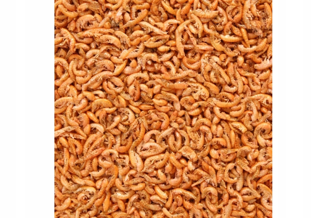 Sušený Sibiřský Klíček Glopex Pro Želvu 1000 G