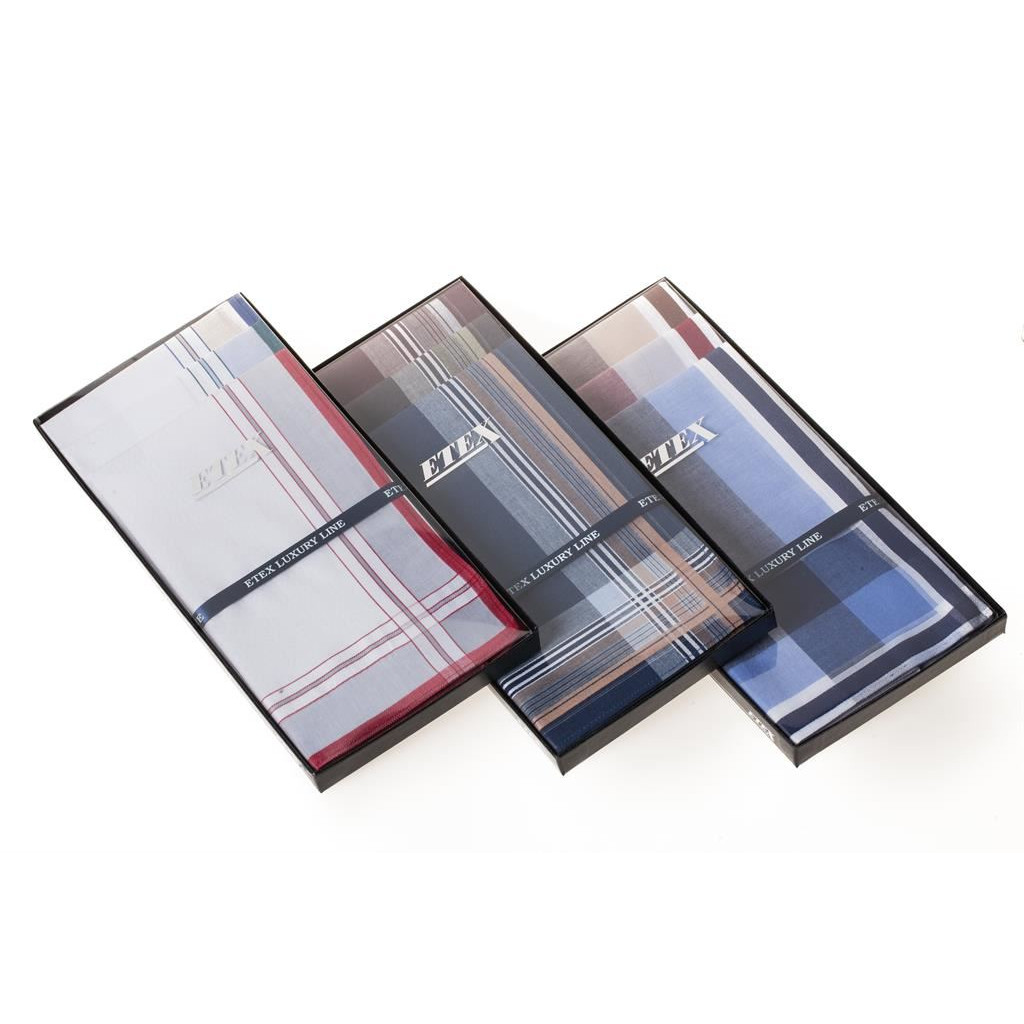 Pánské luxusní kapesníky Etex M49 3 ks - různé barvy