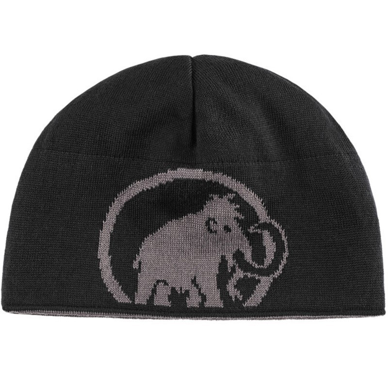 Mammut Čepice Mammut Logo Beanie Steel