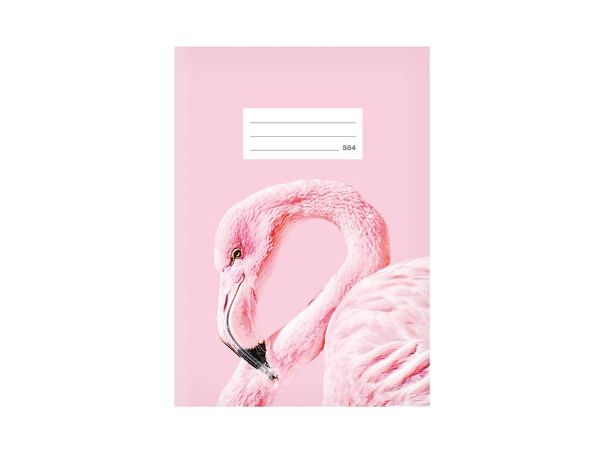 MFP 7520398 Školní sešit LUX A5 564