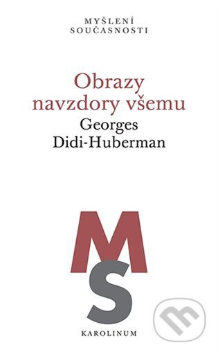 Obrazy navzdory všemu - Georges Didi-Huberman