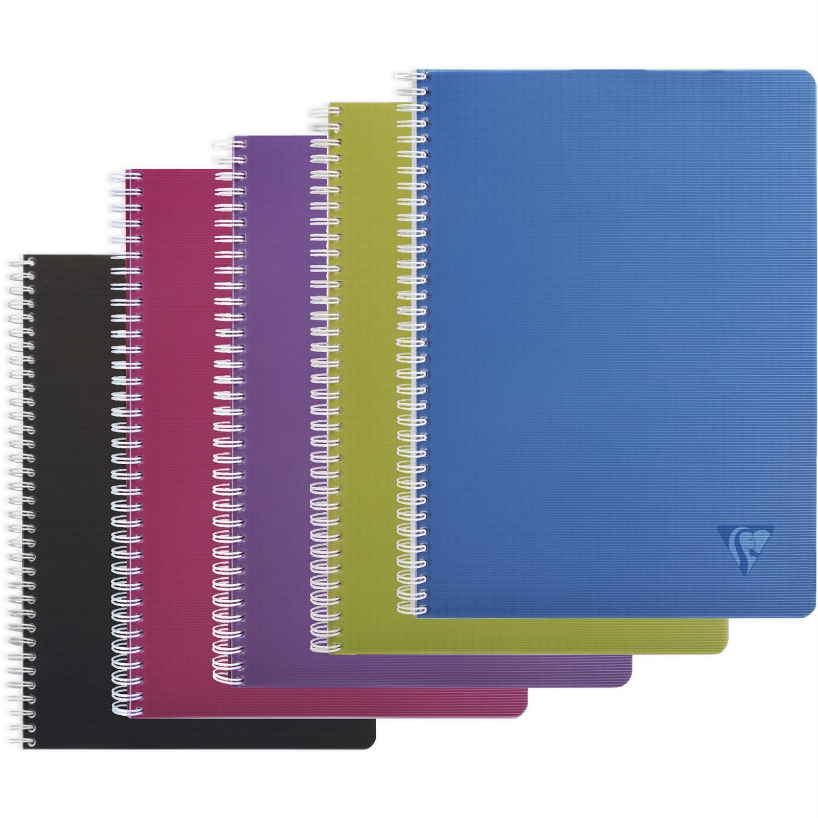 Kroužkový zápisník Linicolor Intensive -  A4, 90 listů, čtverečkovaný