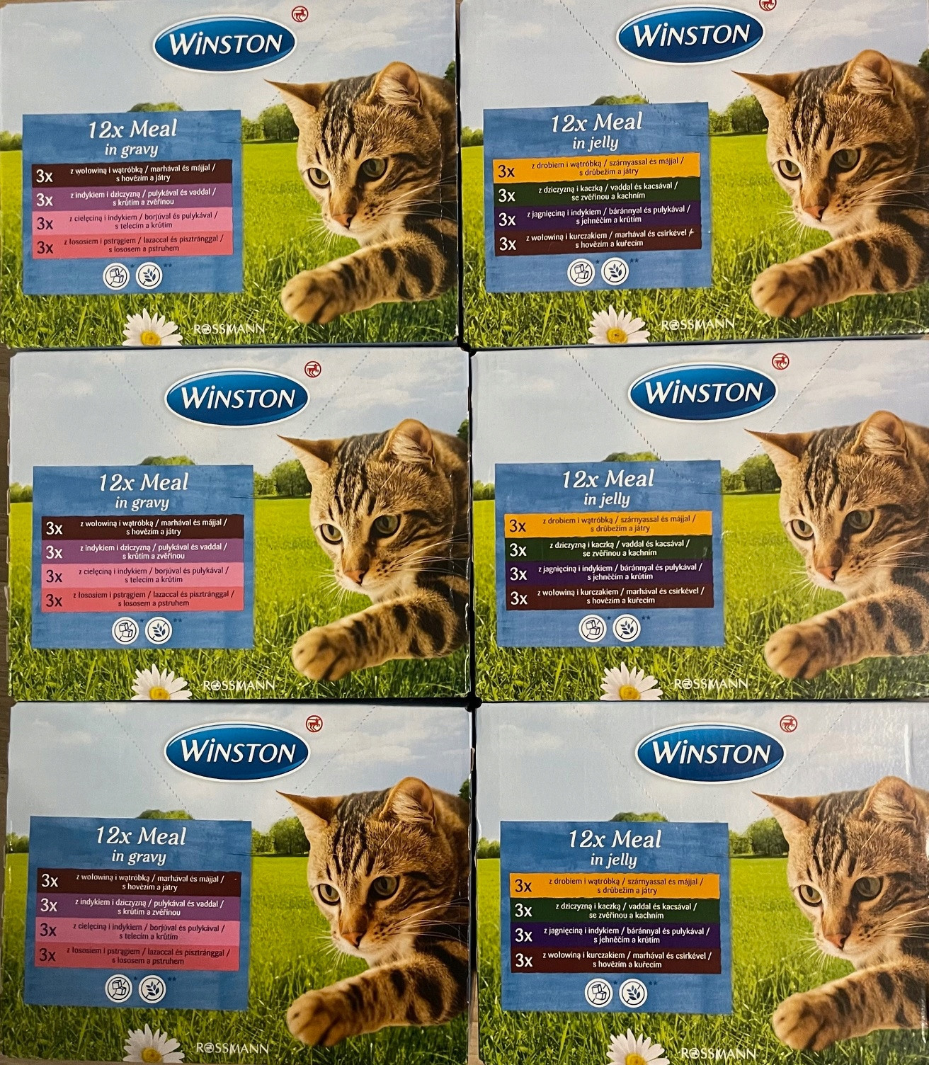 Winston krmivo pro kočky 72x100 směs želé a omáčky
