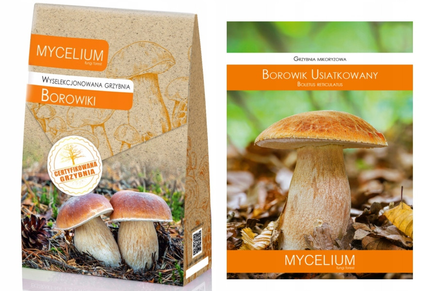 Sada Hříbky Kozlík Oranžový certifikovaná podhoubí lesní houby