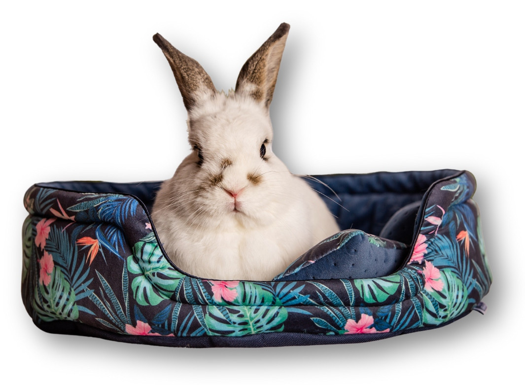 Kraina Tuptusia pelíšek kulatý L pro králíka